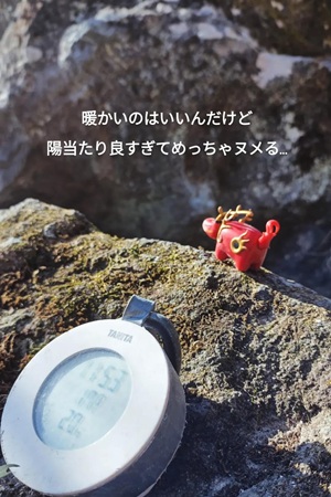 暖かいのはいいんだけど
陽当たり良すぎてめっちゃヌメる…