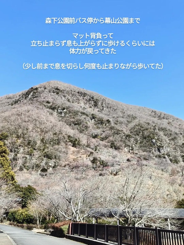 森下公園前バス停から幕山公園まで
マットを背負って
立ち止まらず息も上がらずに歩けるくらいには
体力が戻ってきた
(少し前までは息を切らし何度も立ち止まりながら歩いてた)